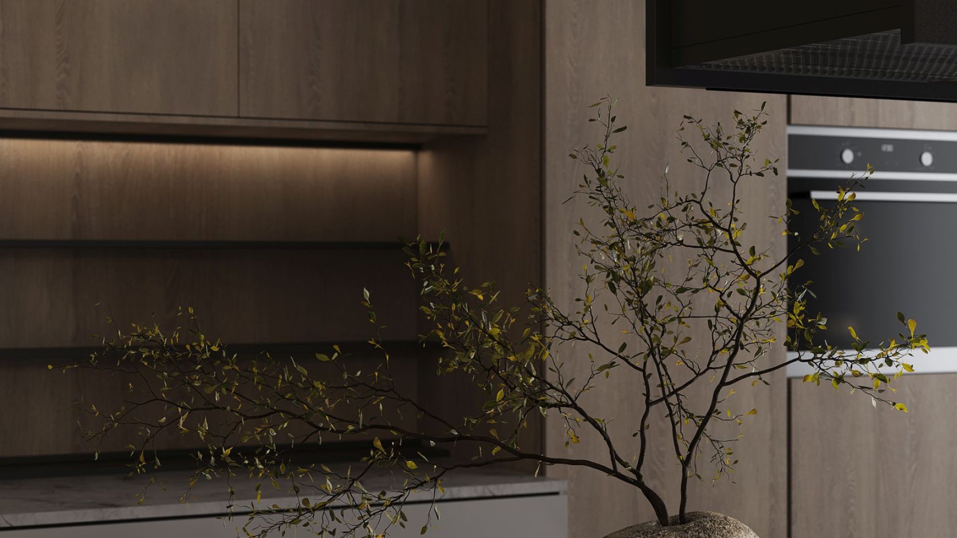 Вытяжка островная Alvar Wood Black Matt - Черный мат - Визуализации 4